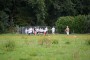 Thumbs/tn_Baggerloop 2015 039.jpg